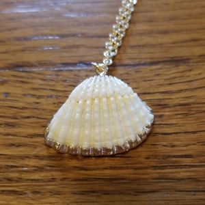 Seashell Necklace